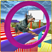 Real Dog Stunt & Jump Derby 3D