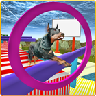 Real Dog Stunt & Jump Derby 3D آئیکن