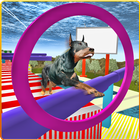 Real Dog Stunt & Jump Derby 3D icône