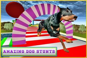 Real Dog Stunt & Jump Derby 3D Affiche