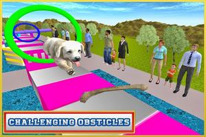 Real Dog Stunt & Jump Derby 3D capture d'écran 3