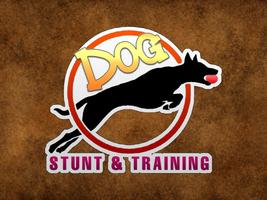 Dog Stunt & Training Simulator Affiche