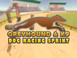 Windhund K9 Hund Rennen Sprint Plakat