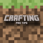 Tips minecraft pe icône