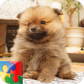 Kids Puzzle Game Puppies