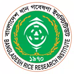 Rice Knowledge Bank APK download