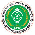 Rice Knowledge Bank-icoon