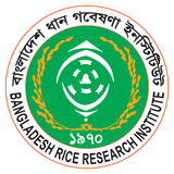 Rice Knowledge Bank icône