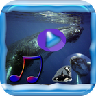 Whale song to sleep icon