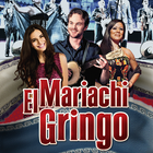 Mariachi Gringo icône