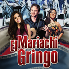 Mariachi Gringo ícone