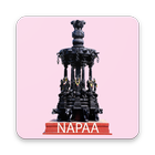 NAPAA icono