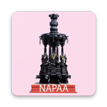 NAPAA