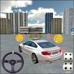 ”City Car Driving 3D