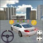 City Car Driving 3D icône