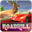 RoadKill Race Simulator