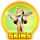 Skins for MCPE - Overwatch APK