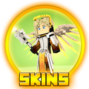 Skins for MCPE - Overwatch aplikacja