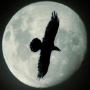 Пасьянс Медичи APK