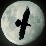 Пасьянс Медичи