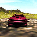 Flying American Car Simulator
