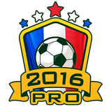 Euro 2016 Manager Pro