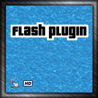 flash plugin पोस्टर