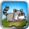 Raccoon running