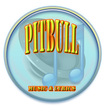 Pitbull Lyrics & Play