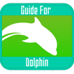 guide for Dolphin Browser