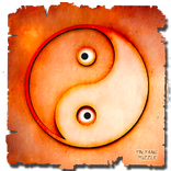 Yin Yang Puzzle