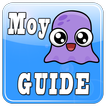 The Moy Guide