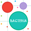 Bacteria: Agar Fun