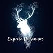 Tema-SXP Espectro-Patronus