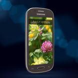 Galaxy Mega Retail Mode