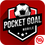 Pocket Goal 아이콘