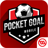 Pocket Goal icône