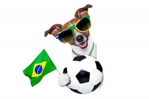 Bandera Brasil Wallpapers اسکرین شاٹ 3