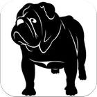 Bulldog Inglés Imágenes biểu tượng
