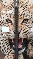 Animals Zipper Screen Lock syot layar 1