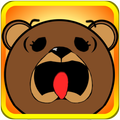 Wheel Bear