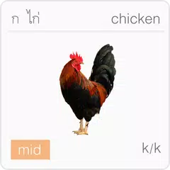 Thai Alphabet AutoReader APK download