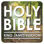 Holy Bible: King James Version ikona