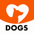 Dogs