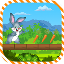 Bunny Rush APK