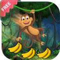 Monkey Adventures Jungle Run