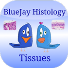 Tissue Flashcards: Histology icône