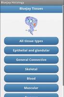 Tissue Flashcards: Histology poster