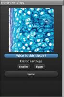 Tissue Flashcards: Histology capture d'écran 2