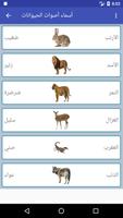 نوادر اللغة العربية imagem de tela 1